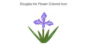 Douglas Iris Flower Colored Icon In Powerpoint Pptx Png And Editable Eps Format