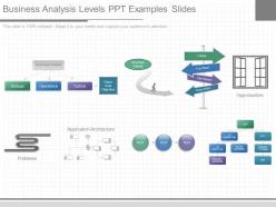 Download business analysis levels ppt examples slides