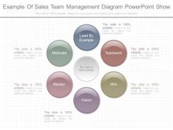 Download example of sales team management diagram powerpoint show