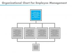 Download organizational chart for employee management flat powerpoint design