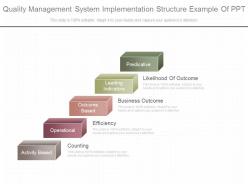 Download Quality Management System Implementation Structure Example Of Ppt