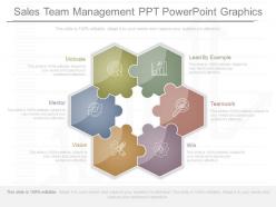 Download sales team management ppt powerpoint graphics