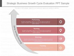 Download strategic business growth cycle evaluation ppt sample