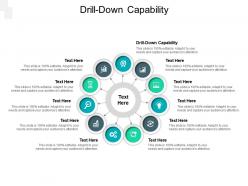 Drill down capability ppt powerpoint presentation file designs cpb