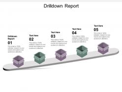 Drilldown report ppt powerpoint presentation portfolio slideshow cpb