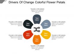 Drivers Of Change Colorful Flower Petals