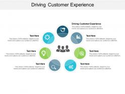 Driving customer experience ppt powerpoint presentation portfolio slide download cpb