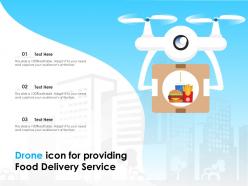Drone icon for providing food delivery service