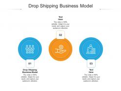 Drop shipping business model ppt powerpoint presentation portfolio portrait cpb