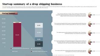 Drop Shipping Business Plan Start Up Summary Of A Drop Shipping Business BP SS