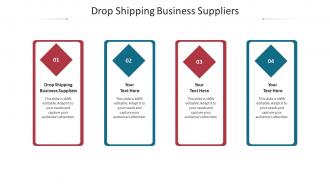 Drop shipping business suppliers ppt powerpoint presentation infographics portfolio cpb
