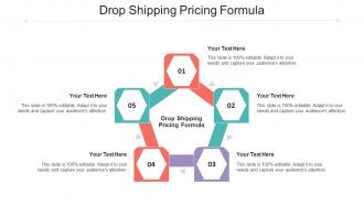 Drop Shipping Pricing Formula Ppt Powerpoint Presentation Inspiration Cpb