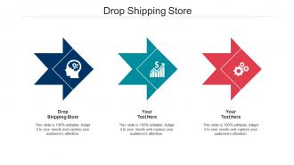 Drop shipping store ppt powerpoint presentation model guidelines cpb