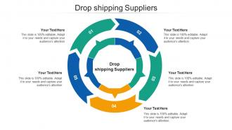 Drop shipping suppliers ppt powerpoint presentation infographic template picture cpb