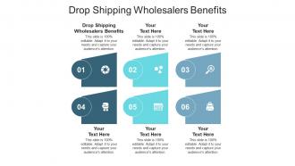 Drop shipping wholesalers benefits ppt powerpoint presentation layouts show cpb