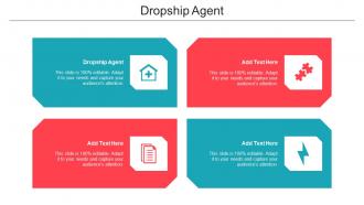 Dropship Agent Ppt Powerpoint Presentation Pictures Outline Cpb