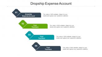 Dropship expense account ppt powerpoint presentation tips cpb