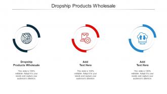 Dropship Products Wholesale Ppt Powerpoint Presentation Styles Guide Cpb