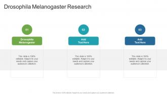 Drosophila Melanogaster Research In Powerpoint And Google Slides Cpb