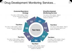 Drug development monitoring services customer experience strategic plan cpb