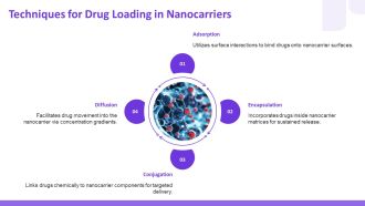 Drug Loading Mechanisms For Nanocarriers PPT Graphics AT Best Professional