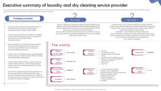 Dry Cleaning Home Delivery Executive Summary Of Laundry And Dry Cleaning Service BP SS