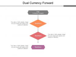 Dual currency forward ppt powerpoint presentation professional example file cpb