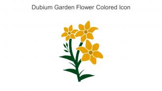 Dubium Garden Flower Colored Icon In Powerpoint Pptx Png And Editable Eps Format