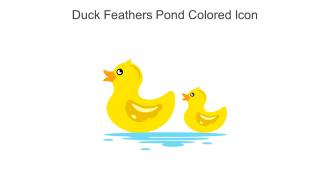 Duck Feathers Pond Colored Icon In Powerpoint Pptx Png And Editable Eps Format