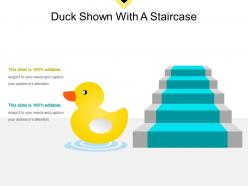 Duck shown with a staircase