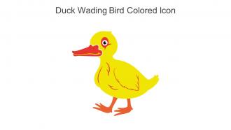Duck Wading Bird Colored Icon In Powerpoint Pptx Png And Editable Eps Format