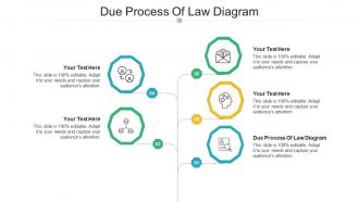 Due process of law diagram ppt powerpoint presentation model outfit cpb