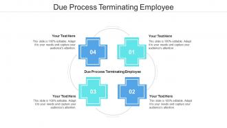 Due process terminating employee ppt powerpoint presentation summary gridlines cpb