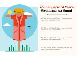 Dummy of bird scarer strawman on stand