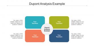 Dupont analysis example ppt powerpoint presentation infographic template model cpb
