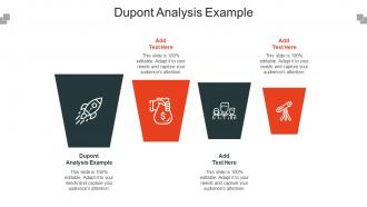 Dupont Analysis Example Ppt Powerpoint Presentation Professional Introduction Cpb