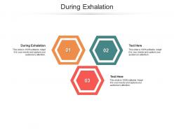 During exhalation ppt powerpoint presentation portfolio graphic tips cpb