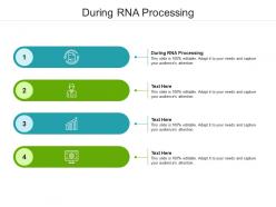 During rna processing ppt powerpoint presentation portfolio example cpb