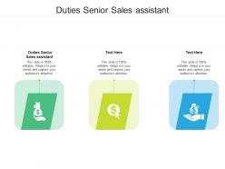 Duties senior sales assistant ppt powerpoint presentation summary icon cpb