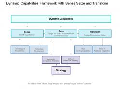 Dynamic capabilities framework with sense seize and transform