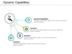 Dynamic capabilities ppt powerpoint presentation ideas format ideas cpb