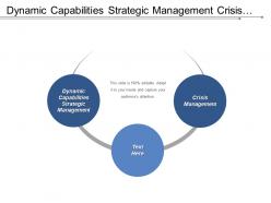 Dynamic capabilities strategic management crisis management organization environment cpb