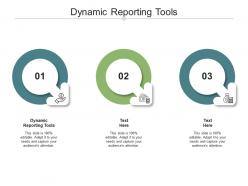 Dynamic reporting tools ppt powerpoint presentation file rules cpb