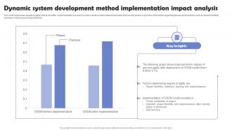 Dynamic System Development Method Implementation Impact Analysis