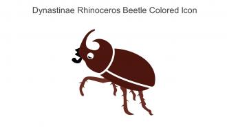 Dynastinae Rhinoceros Beetle Colored Icon In Powerpoint Pptx Png And Editable Eps Format