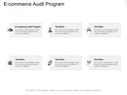E commerce audit program ppt powerpoint presentation styles guidelines cpb