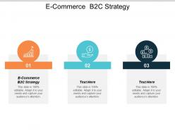 E commerce b2c strategy ppt powerpoint presentation portfolio design inspiration cpb