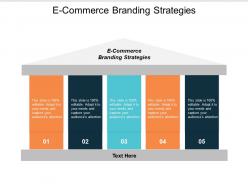E commerce branding strategies ppt powerpoint presentation icon guide cpb