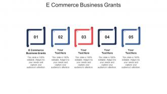 E commerce business grants ppt powerpoint presentation model skills cpb