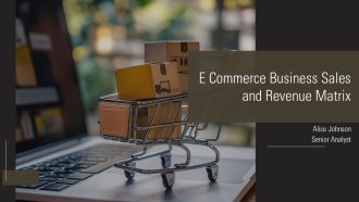 E Commerce Business Sales And Revenue Matrix PPT PowerPoint AT